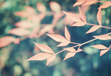 京沪对决金软景25分领衔 上海女排客场3-0横扫北京