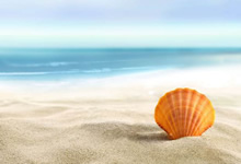 nba魔术对凯尔特人 季前赛-02秒绝杀！魔术103-102击败凯尔特人