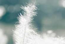 世预赛哈萨克让二追三3-2逆转丹麦