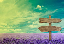 nba高清直播在线直播 正在直播NBA夏季联赛 孟灰斯灰熊VS波特兰开拓者